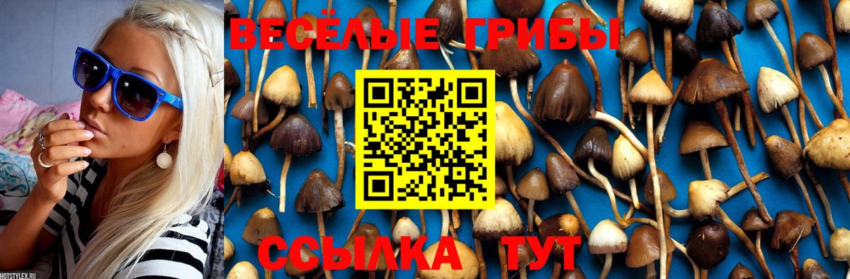 Псилоцибиновые грибы Magic Shrooms  Псилоцибиновые грибы ЛСД  Вход с VPN  Новый Уренгой 
